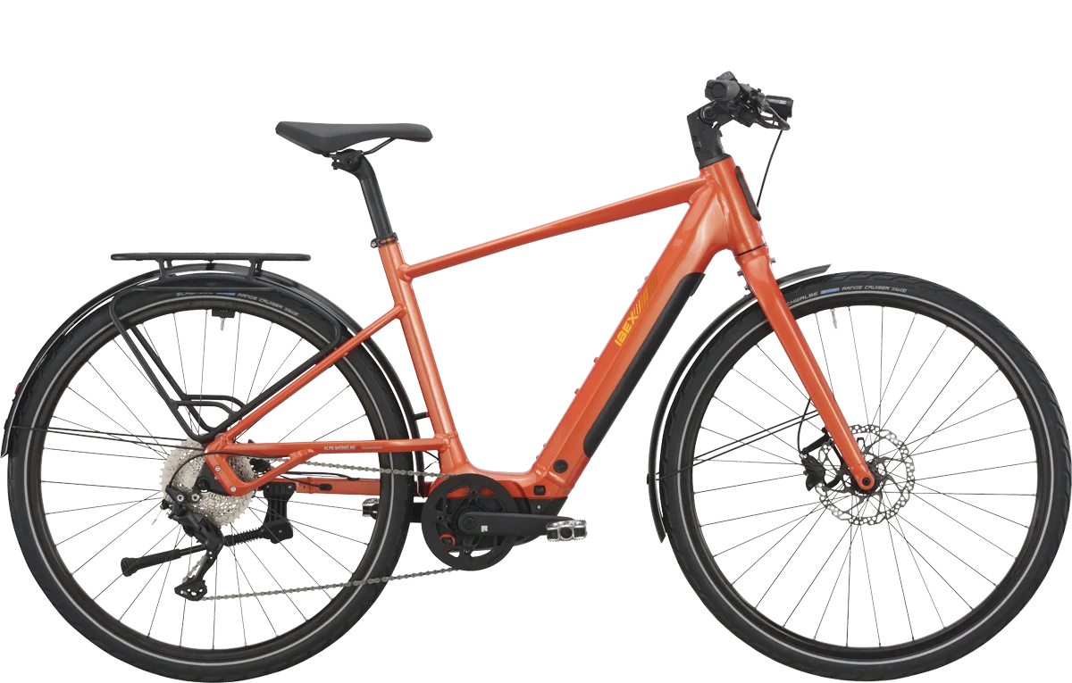 IBEX Swiss Bike | eJungle Hero